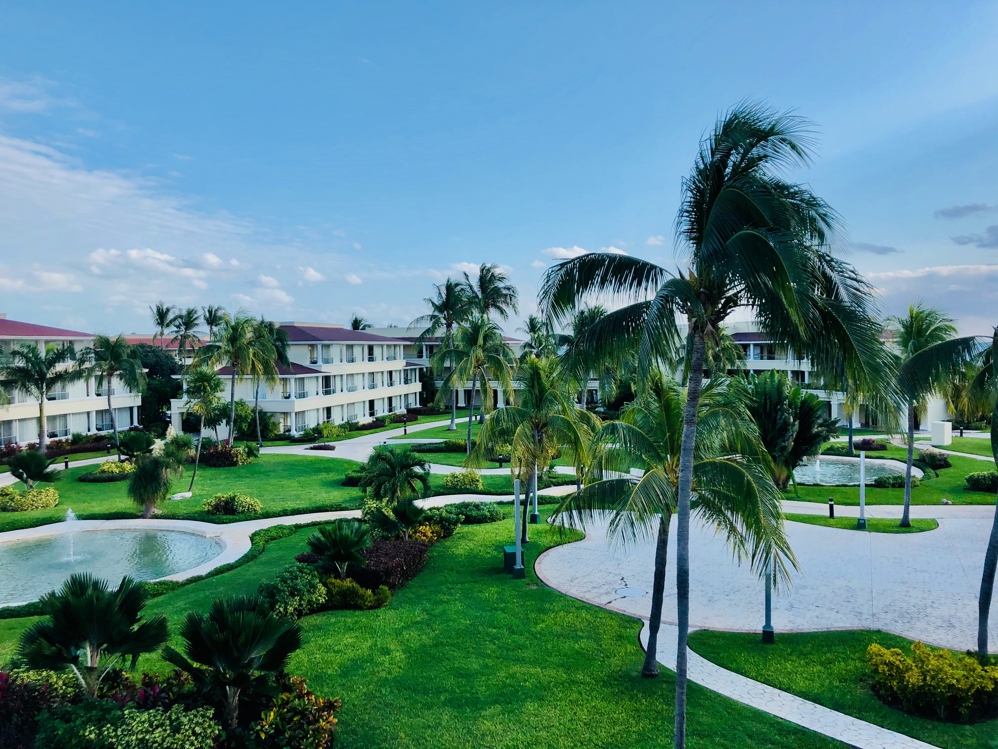 garden view